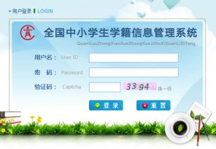 全國中小學(xué)生學(xué)籍管理系統(tǒng) 信息系統(tǒng)運(yùn)行維護(hù)服務(wù)的關(guān)鍵角色與實(shí)踐路徑
